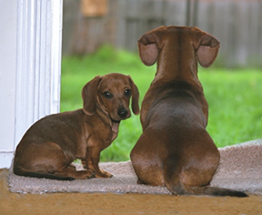 [Archie and Natalie]